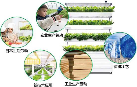 12ai劳育解决方案553.jpg