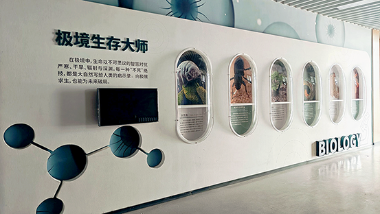 1787313382100376.png 16生物廊道553.png